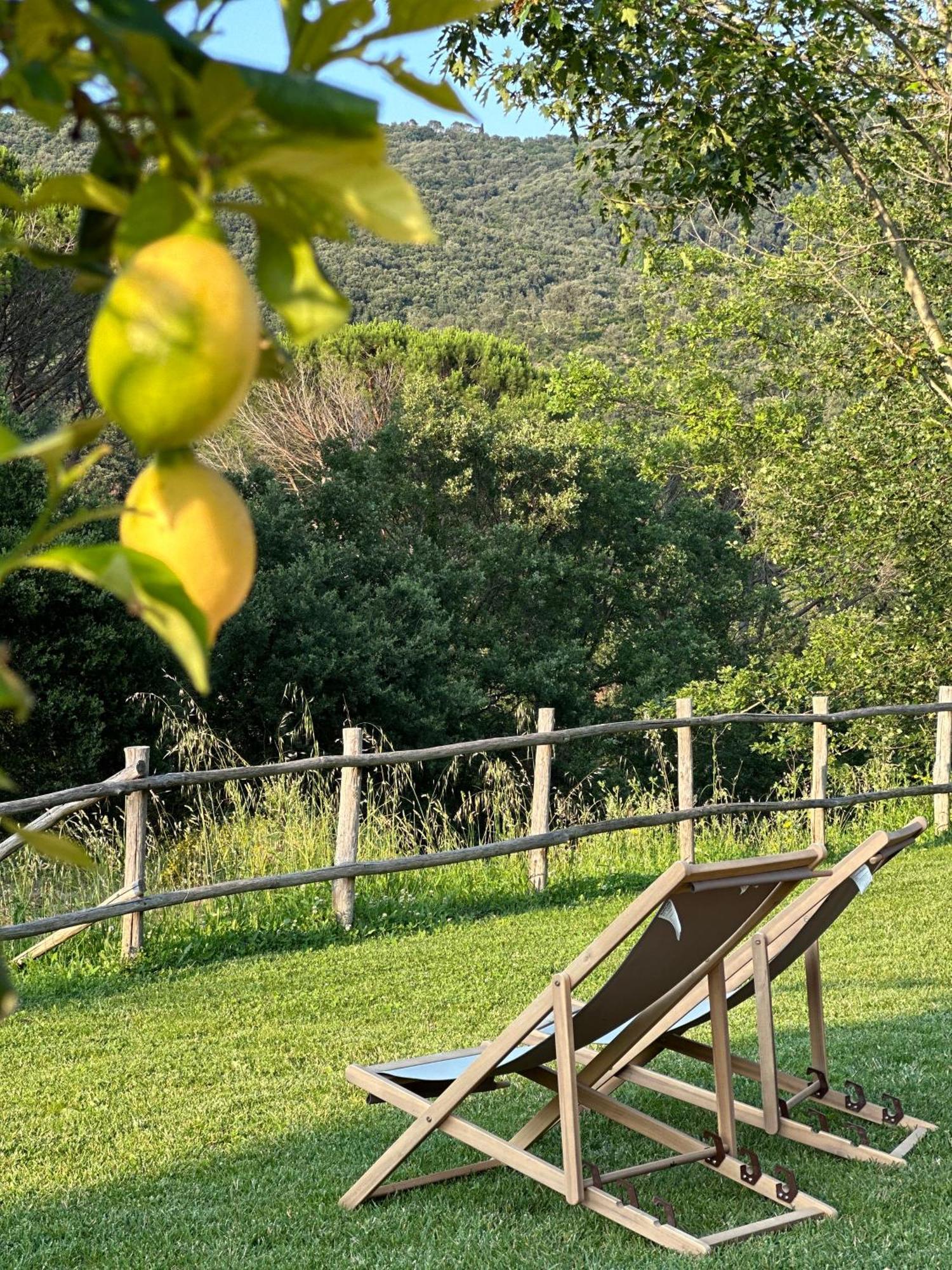Gio Toscana Castiglione della Pescaia Bagian luar foto